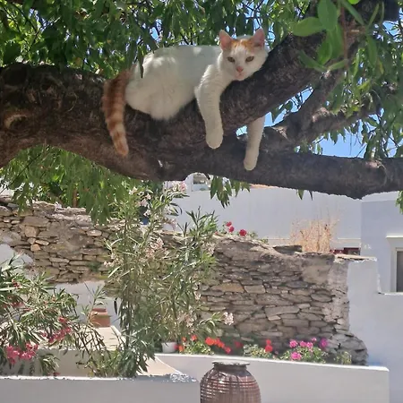 Cycladic Secret House Ferienhaus Apollonia